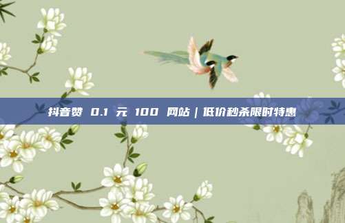 抖音赞 0.1 元 100 网站｜低价秒杀限时特惠