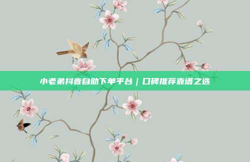 小老弟抖音自助下单平台｜口碑推荐靠谱之选