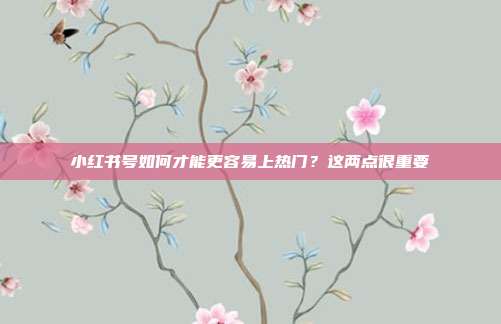 小红书号如何才能更容易上热门？这两点很重要