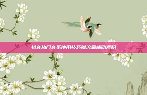抖音热门音乐使用技巧蹭流量辅助涨粉