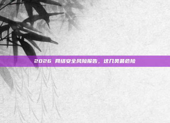 2026 网络安全风险报告，这几类最危险