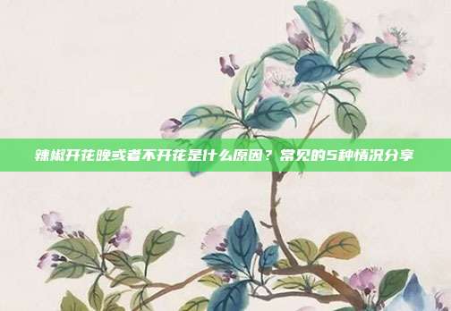 辣椒开花晚或者不开花是什么原因？常见的5种情况分享