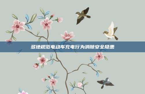多地规范电动车充电行为消除安全隐患