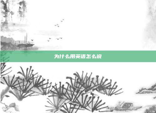 为什么用英语怎么说