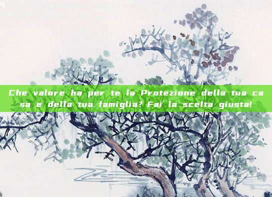 Che valore ha per te la Protezione della tua casa e della tua famiglia？Fai la scelta giusta!