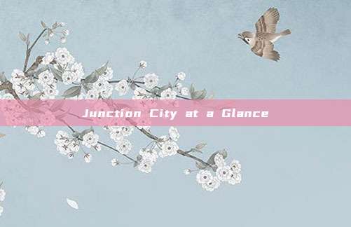 Junction City at a Glance