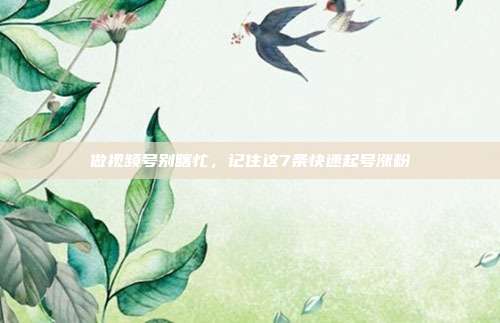 做视频号别瞎忙，记住这7条快速起号涨粉
