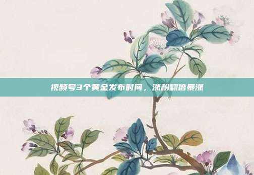 视频号3个黄金发布时间，涨粉翻倍暴涨
