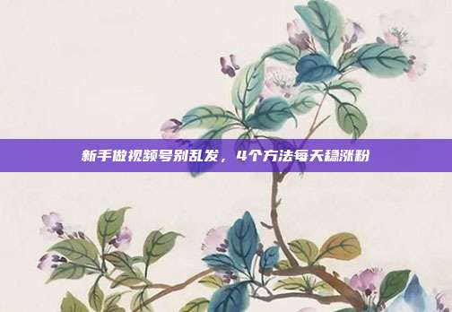 新手做视频号别乱发，4个方法每天稳涨粉