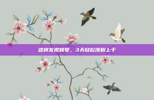 这样发视频号，3天轻松涨粉上千
