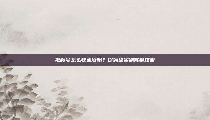 视频号怎么快速涨粉？保姆级实操完整攻略