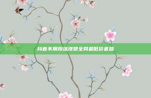 抖音不用投流涨赞全网最低价套路