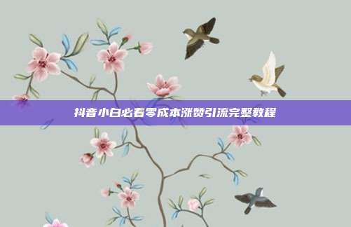 抖音小白必看零成本涨赞引流完整教程