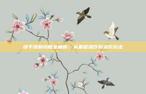 快手涨粉功能全解析：从基础操作到进阶玩法