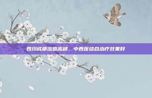 四川成都流感高峰，中西医结合治疗效果好