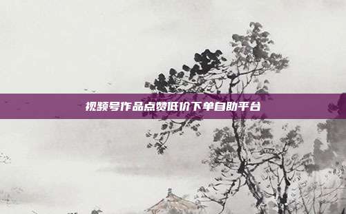 视频号作品点赞低价下单自助平台