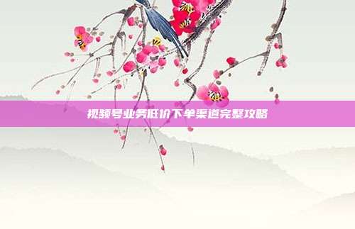 视频号业务低价下单渠道完整攻略