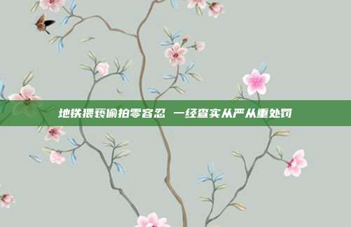 地铁猥亵偷拍零容忍 一经查实从严从重处罚