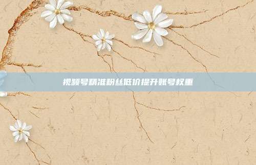 视频号精准粉丝低价提升账号权重
