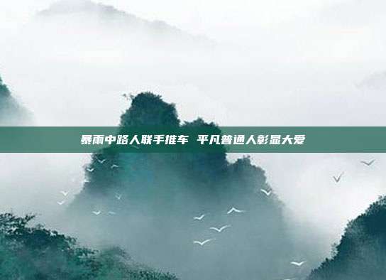 暴雨中路人联手推车 平凡普通人彰显大爱