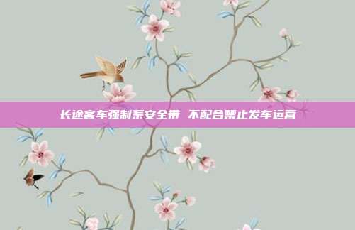 长途客车强制系安全带 不配合禁止发车运营