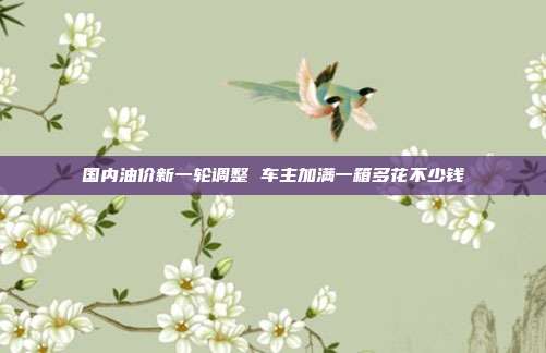 国内油价新一轮调整 车主加满一箱多花不少钱