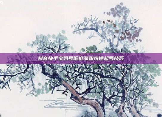 抖音快手宝妈号低价涨粉快速起号技巧
