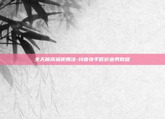 全天候商城使用法-抖音快手低价业务教程