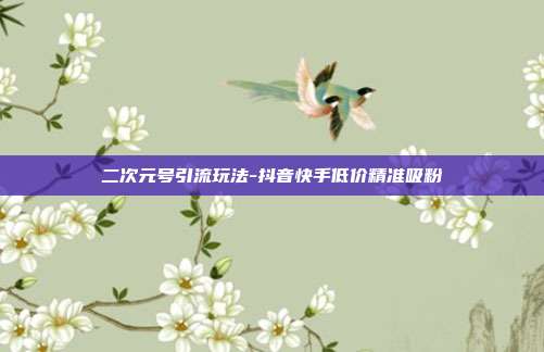二次元号引流玩法-抖音快手低价精准吸粉
