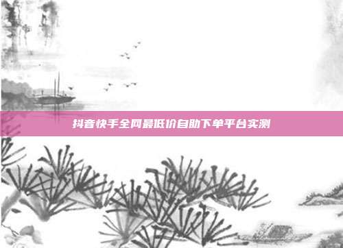 抖音快手全网最低价自助下单平台实测