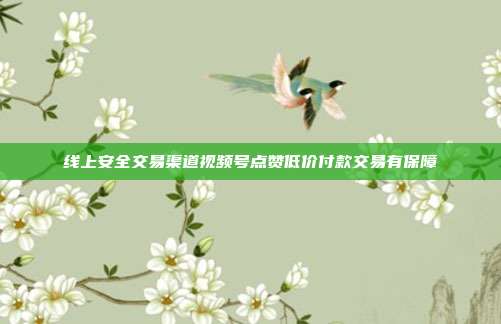 线上安全交易渠道视频号点赞低价付款交易有保障