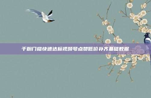 千粉门槛快速达标视频号点赞低价补齐基础数据