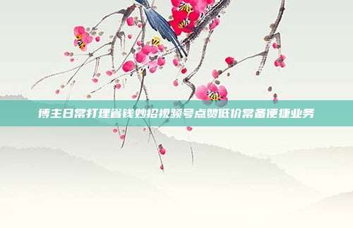 博主日常打理省钱妙招视频号点赞低价常备便捷业务