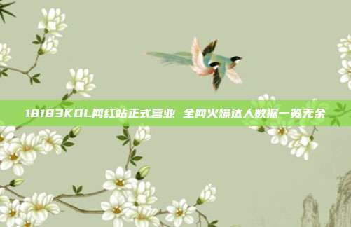 18183KOL网红站正式营业 全网火爆达人数据一览无余