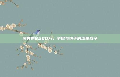 消失的2500万：辛巴与快手的流量战争