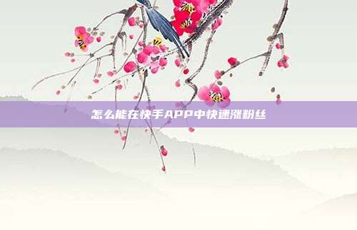 怎么能在快手APP中快速涨粉丝