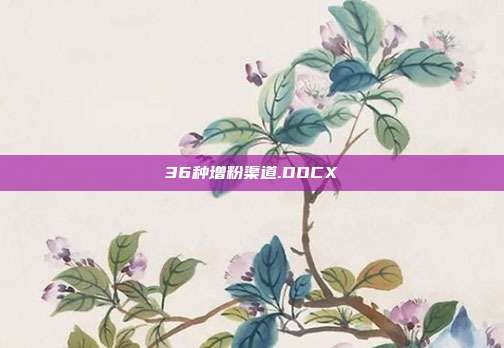 36种增粉渠道.DOCX