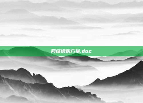 网络增粉方案.doc