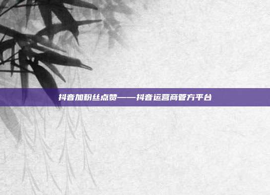 抖音加粉丝点赞——抖音运营商管方平台