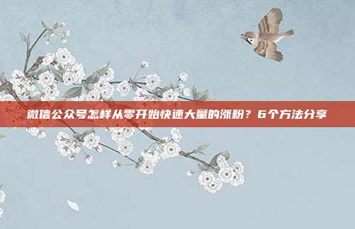 微信公众号怎样从零开始快速大量的涨粉？6个方法分享