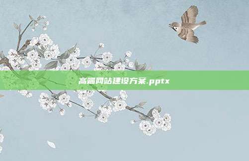 高端网站建设方案.pptx