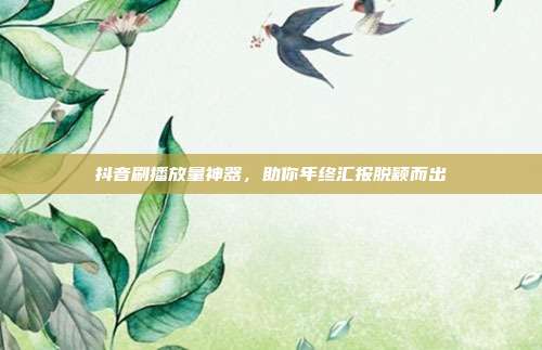 抖音刷播放量神器,助你年终汇报脱颖而出