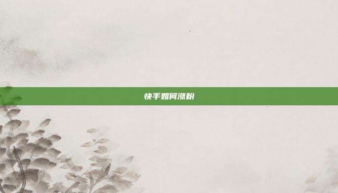 快手如何涨粉
