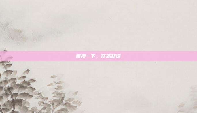 百度一下，你就知道
