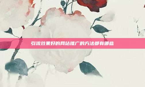 引流效果好的网站推广的方法都有哪些