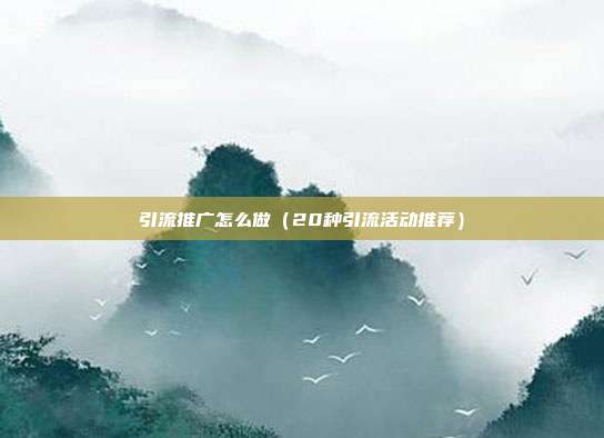 引流推广怎么做(20种引流活动推荐)