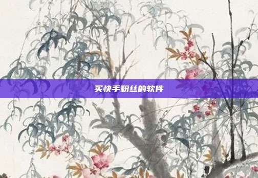 买快手粉丝的软件