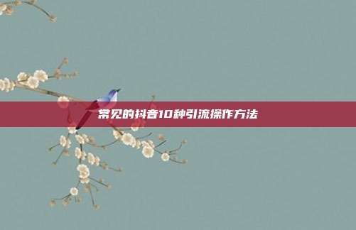 常见的抖音10种引流操作方法