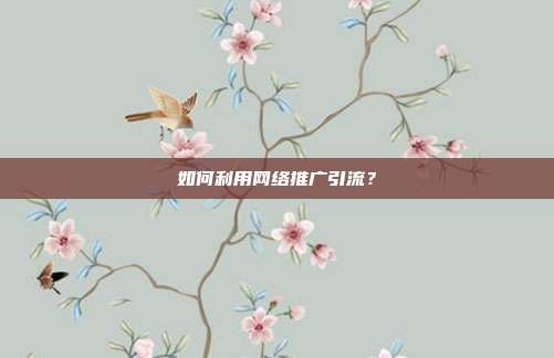 如何利用网络推广引流?