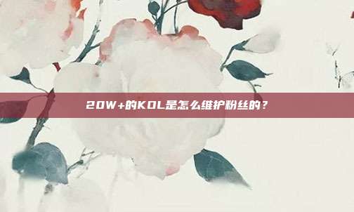 20W+的KOL是怎么维护粉丝的？